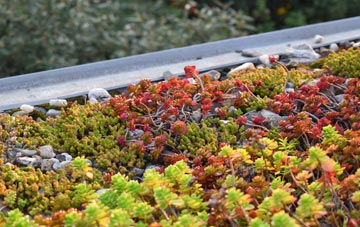 the cost of Tuckton green roof installation