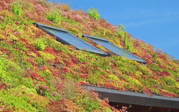 Tuckton living roof systems